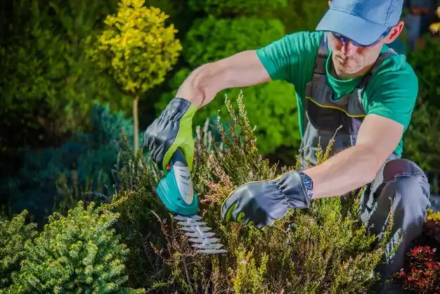landscaping services Marietta